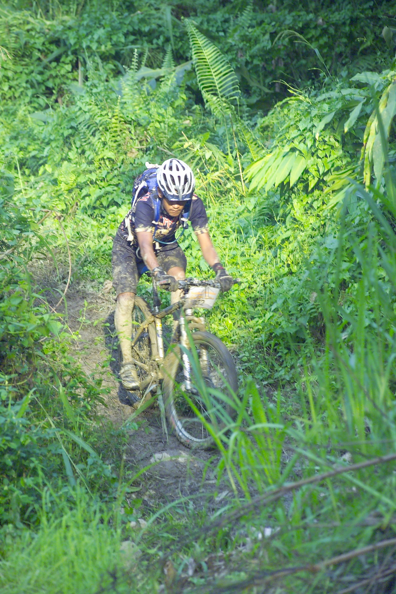 PTPM 06 31 kilau D9X44256